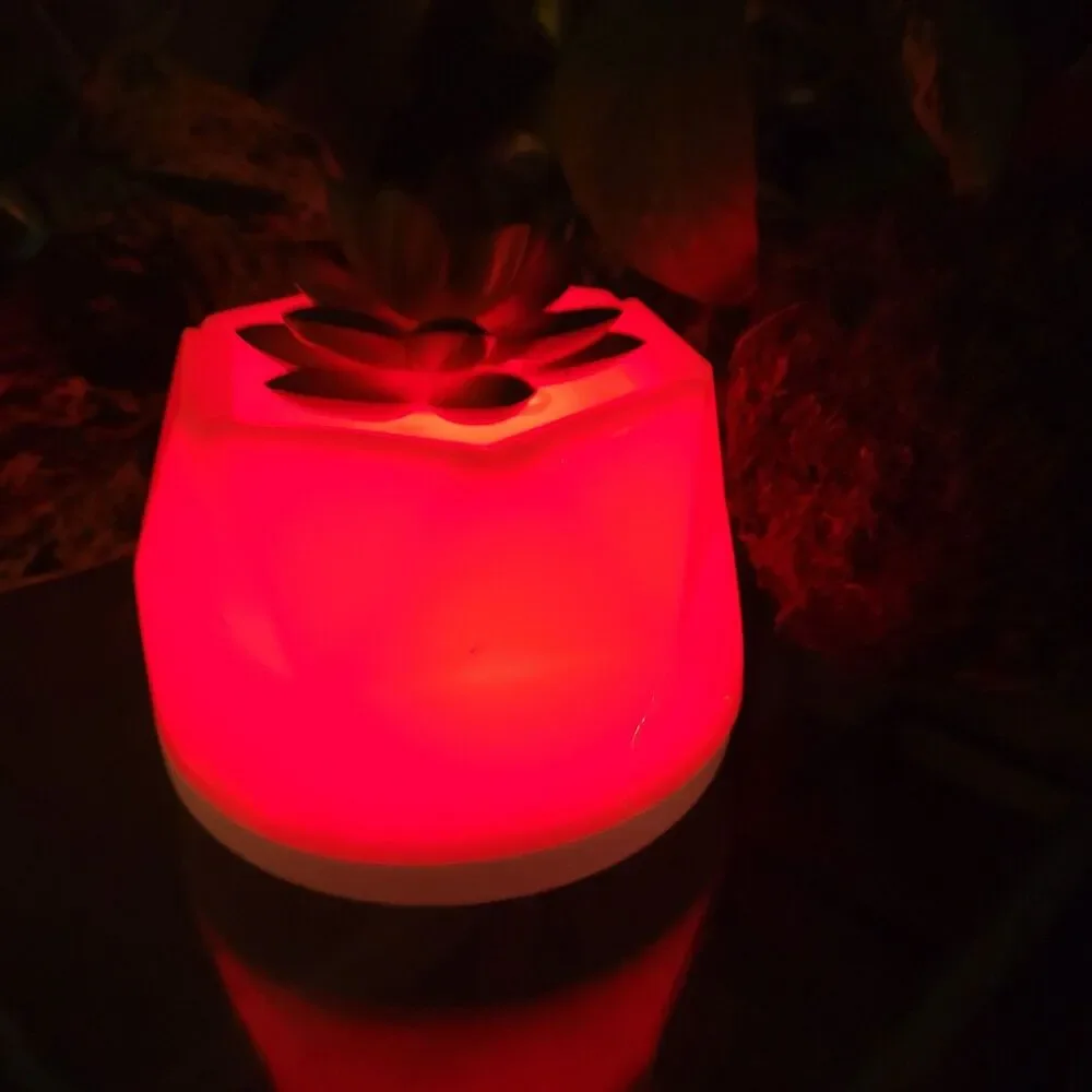 Succulent Color-Changing Night Light Lamp Waterless Essential Oil Diffuser Aroma